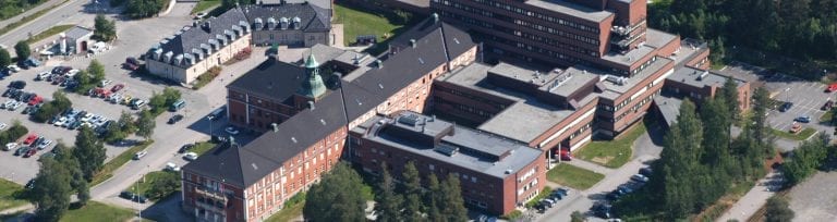 STORT ENGASJEMENT: Gruppa for å bevare Elverum sjukehus har skapt stort engasjement. Foto: Sykehuset Innlandet