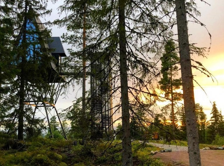 I BESTE SENDETID: Pan Tretopphytter og Åsnes Finnskog kan du se på TV-skjermen i Farmen Kjendis sin magasindel onsdag kveld. Foto: Pan Treetopcabins