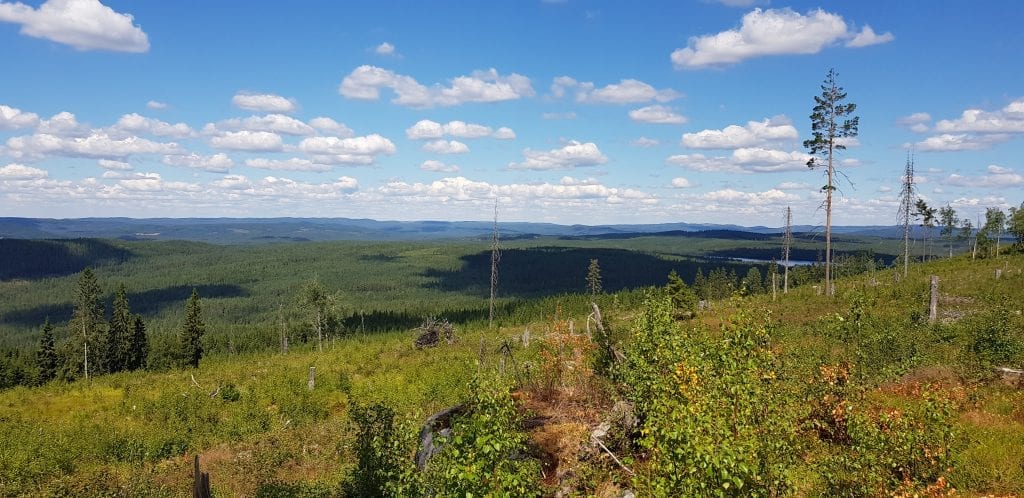 STORE OMRÅDER: På Finnskogen er det god plass til alle som vil gå tur, også i Korona-krisen. Kompass Bygg støtter DNT Finnskogen og omegn - Solør med 20.000 kroner. Dette bildet er tatt fra Finnskogleden sommeren 2018.