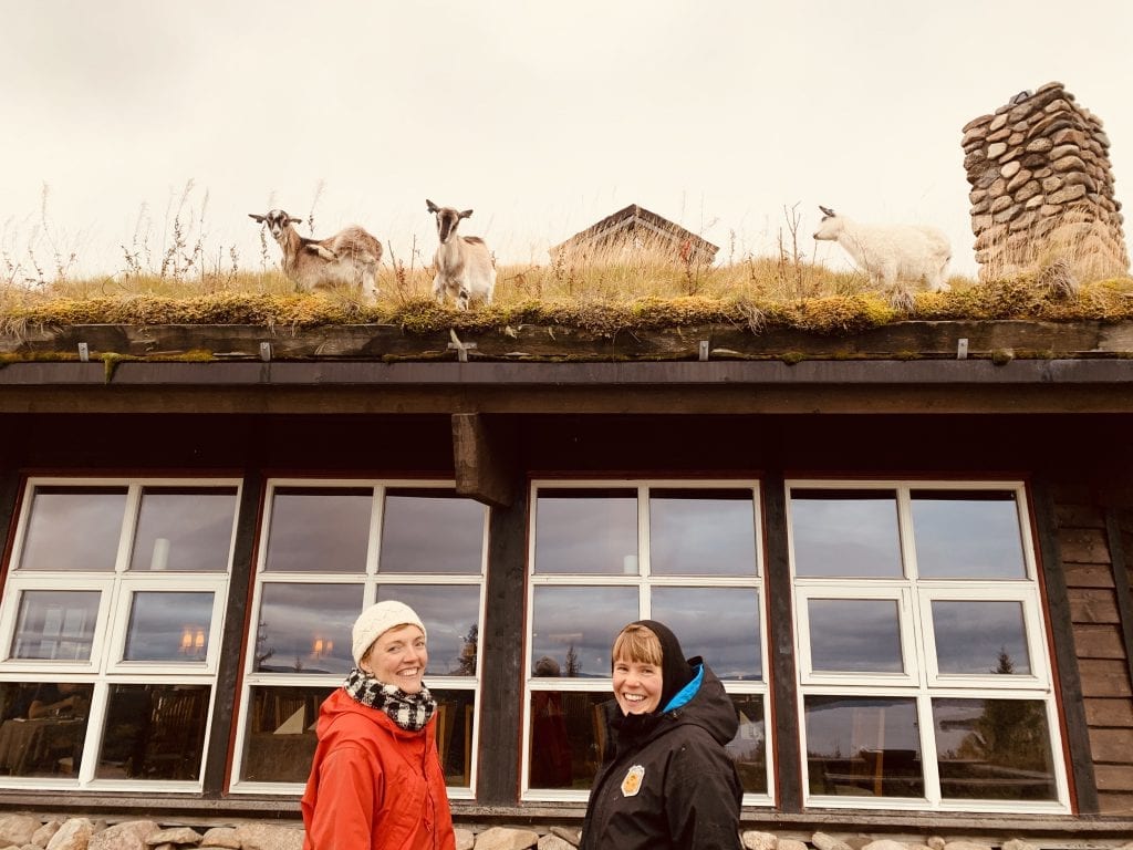 PÅ FINNSKOGEN: I en drøy uke har kunstnerne Riitta Ikonen (t.v.) og Karoline Hjorth jobba på Finnskogen. Med gjestfrihet og mange møter med lokalbefolkningen har de stortrives. Foto: Liv Rønnaug B. Lilleåsen