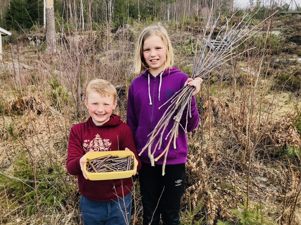 KORTREIST OG MILJØVENNLIG: Trykkepinnene fra Arneberg kommer fra epletrærne til pappa, Mathis Briskerud. Foto: Privat