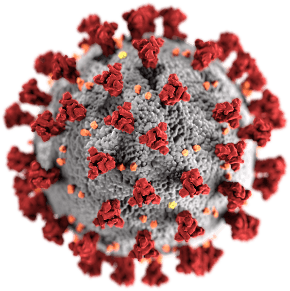 VIRUS: Koronaviruset er et smittsomt lungevirus, som ble påvist i Norge 26. februar.
