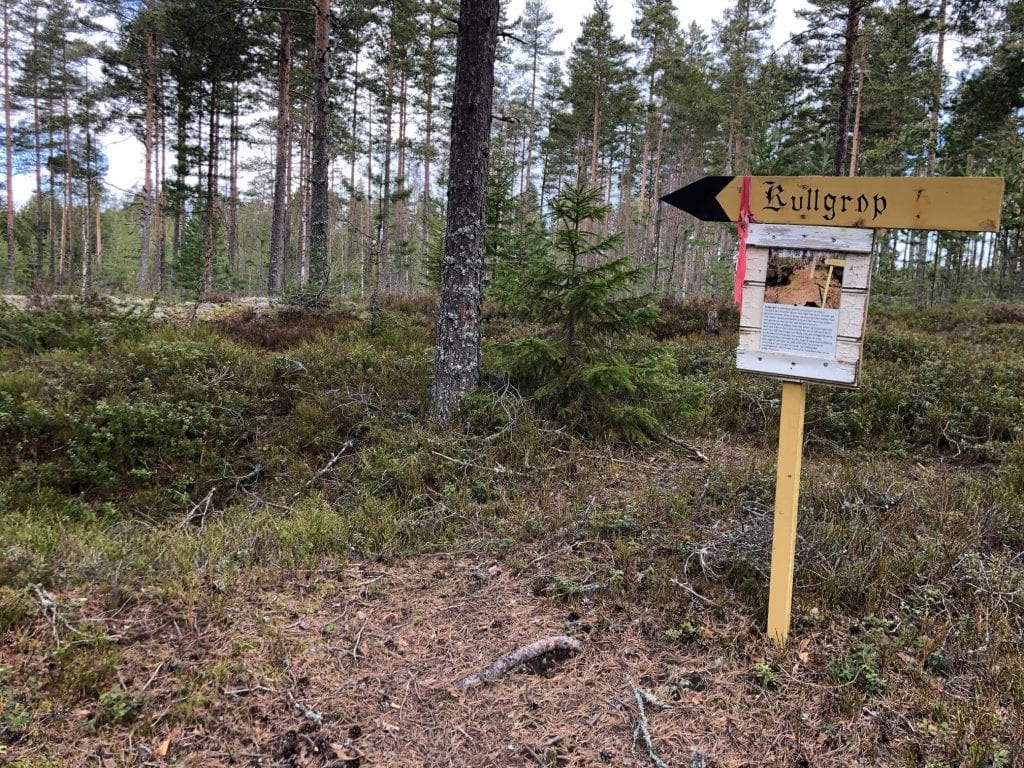 I GANG: Årets Stolpejakt i Åsnes er i gang. Her er en av postene i Brattåsen. Foto: O-gruppa Kjellmyra IL