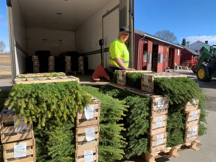 TILSKUDD: Nå blir det et midlertidig tilskudd til skognæringa i korona-krisen. Her er det levering av granplanter fra Skogplanter Innlandet til Hedmarken, hvor vårplantingen allerede er i gang. Foto: Karoline Finstad Vold/Fylkesmannen i Innlandet