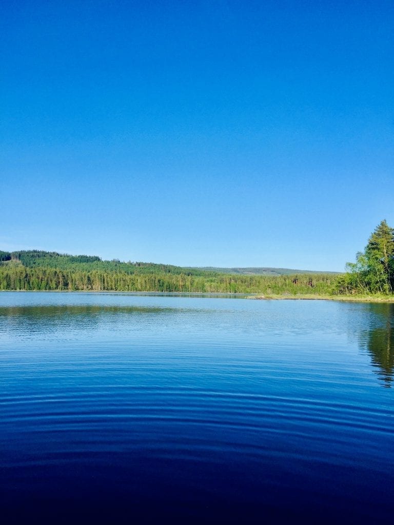 NATUREN ER GRATIS: En sommerferie innenlands trenger heller ikke å bli så dyr - for naturen er gratis og Solør har fult av badeplasser. Foto: Liv Rønnaug B. Lilleåsen