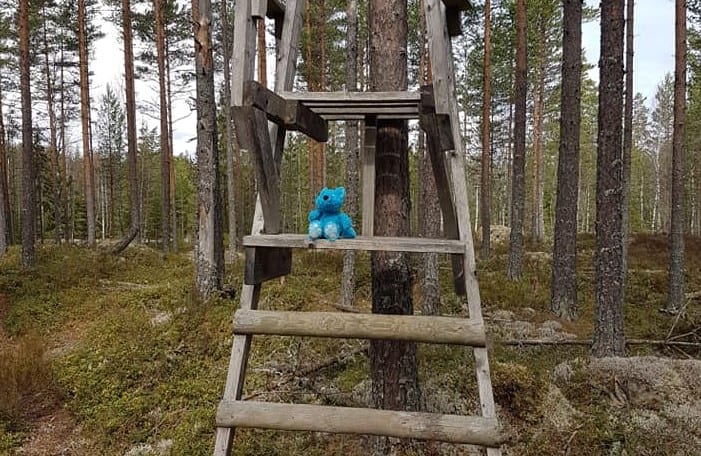 NYE EVENTYR: Etter drøye to måneder i dvale er Barnas Turlag klare for nye turer i skog og mark - og med alle smittevernregler i behold. Foto: Barnas Turlag Solør