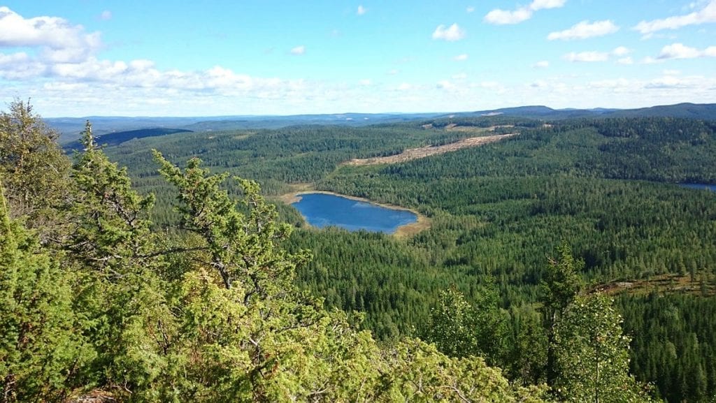 POPULÆR: Finnskogleden skal rustes opp og gjøres klar for en sommer med forhåpentligvis mange nordmenn i år. Den historiske leden strekker seg fra Eidskog i sør til Trysil i nord på norsk side. Foto: DNT Finnskogen og omegn