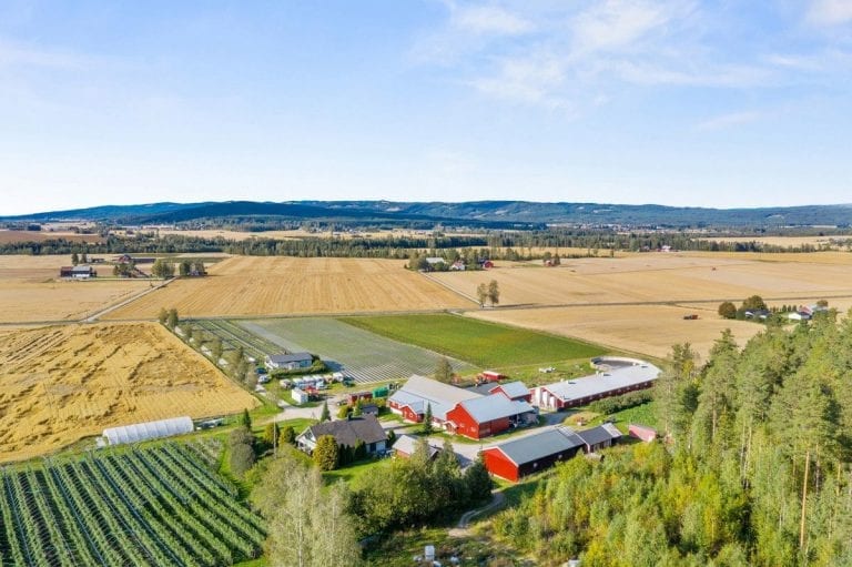 MANGE MULIGHETER: Storgården på Sletta i Åsnes har svært mange muligheter, mener megler. Foto: Tegneby & Grønnerød Landbruksmegling/Finn.no