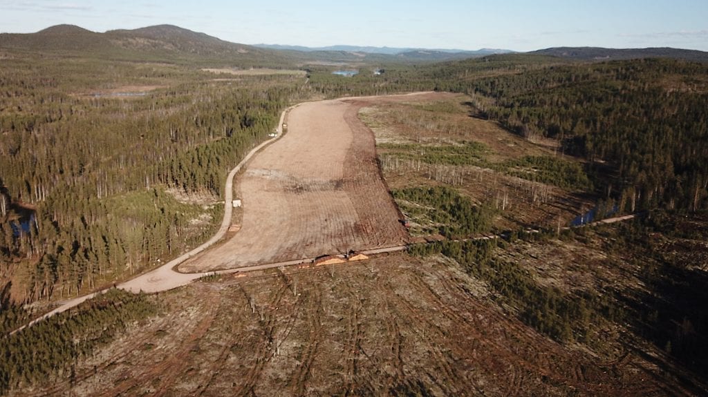 ENORMT OMRÅDE: Hele 620 dekar skog er i ferd med å bli til åker mellom Sævsjøberget og Kynna på Finnskogen. Bak står Lars Erik Gundersen fra Vang med god hjelp fra onkelen sin, Gunnar Gundersen.