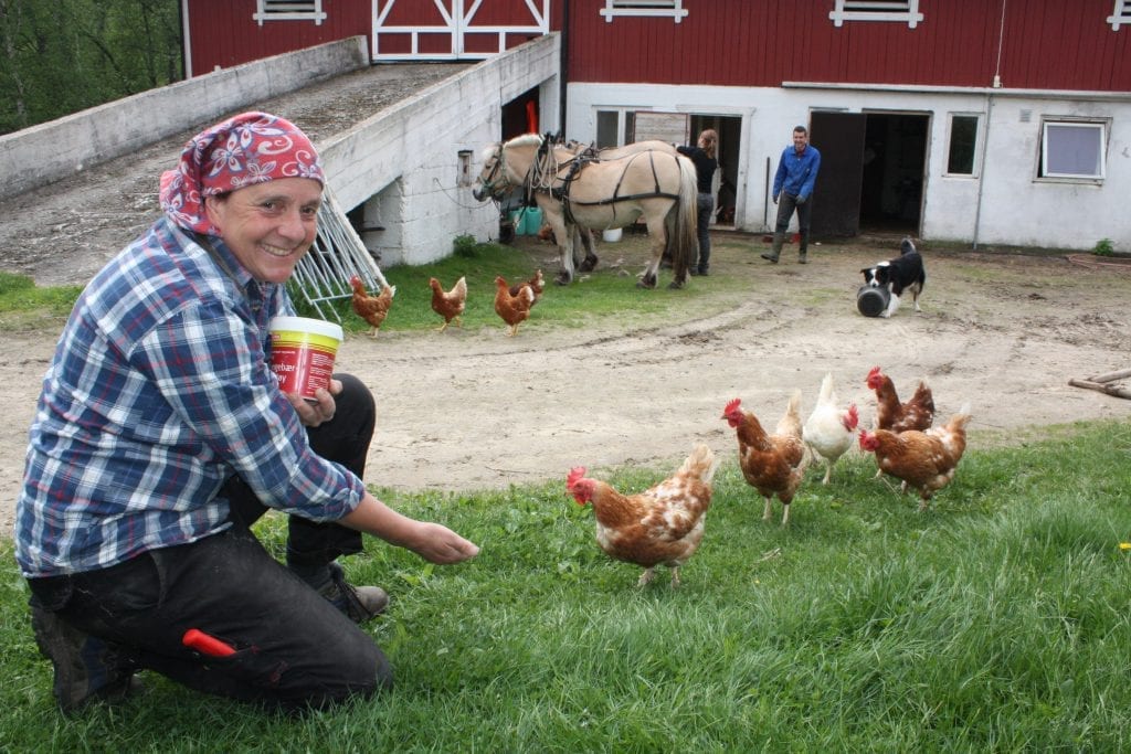 ÅPNER GÅRDEN IGJEN: Fem steder er med på årets Gardtassing i august, og blant annet Vesterhaugen i Våler. Helen Davey er glad for at de kan gjennomføre, og håper mange kommer innom.