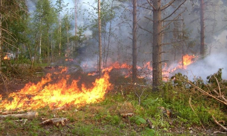 SOMMER: Nå står sommerferien for døren, og nordmenn flest skal feriere i Norge som følge av reiserestriksjoner. Det betyr at mange kommer til å ta turer ut i norsk natur, og brannsjefen ber folk om å være forsiktige og respektere bålforbudet. Foto: Midt-Hedmark brann- og redningsvesen IKS