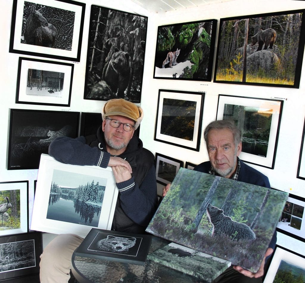 MANGE KORTREISTE BILDER: I Galleri Bjørnen på Grue Finnskog finnes mange kortreiste bilder, og lokale rovdyr er representert i høyeste grad.