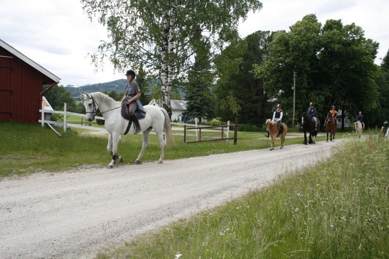 ÅPNER GÅRDEN: Karen Syversætre har åpnet Syversætre gård på Flisa alle 14 årene det har vært gardtassing. I helga åpner hun opp for gjester igjen.