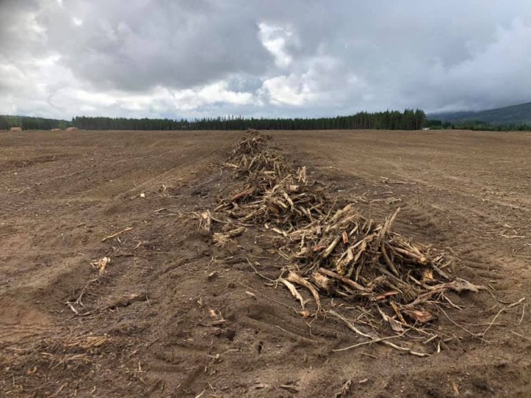 GIGANTISK OMRÅDE: Svenkerud Gård i Våler dyrker opp utrolige 1.000 mål med jord ved Blanktjernsmoen i Elverum. Området er klart til såing av høsthvete og rug allerede i høst.
