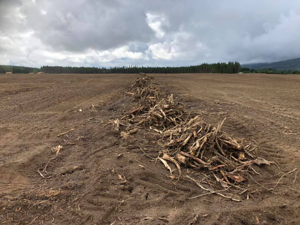 GIGANTISK OMRÅDE: Svenkerud Gård i Våler dyrker opp utrolige 1.000 mål med jord ved Blanktjernsmoen i Elverum. Området er klart til såing av høsthvete og rug allerede i høst.