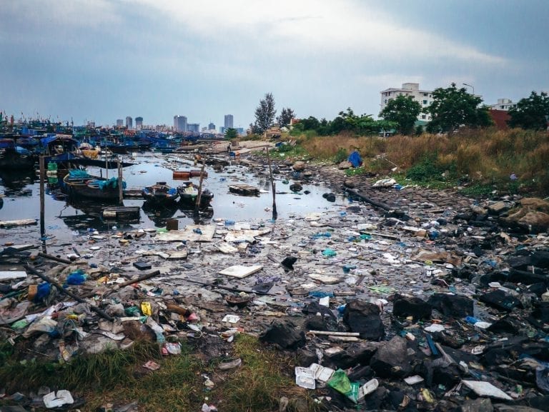 STØTTER IKKE WWF: Politikerne i Åsnes bestemte mandag kveld at kommunen ikke skal opprette noen aksjonskomité og støtte TV-aksjonen i høst. Årets innsamling går til plast i havet. Valget ble tatt med 13 mot 10 stemmer. Foto: Rafa Elias, Getty Images