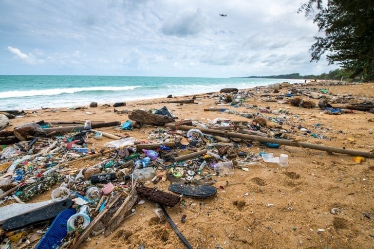GJØR SOM ÅSNES: Heller ikke Våler vil støtte en TV-aksjon hvor inntektene går til Verdens naturfond (WWF). I stedet vil de støtte Rivers.Global. Foto: Kittisun Kittayacharoenpong / Getty Images
