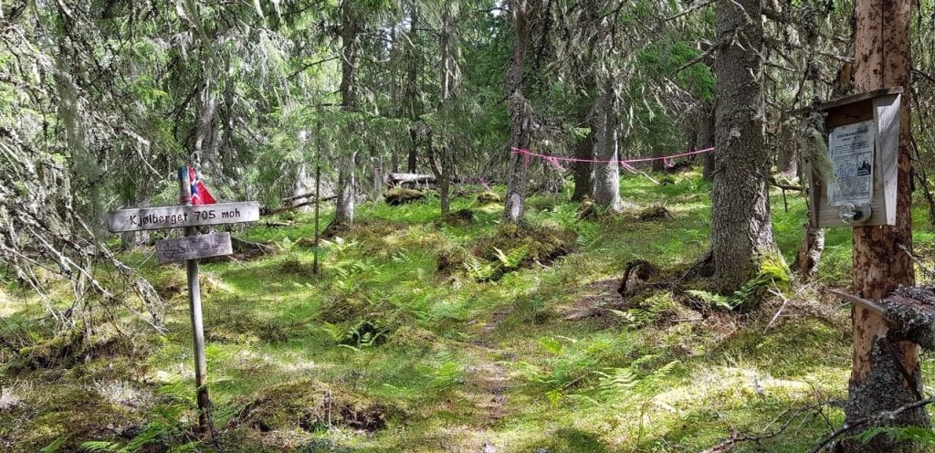 ER FLYTTET: Kjølbergtoppen i 2020. Treskiltet langs Finnskogledens toppunkt 705 moh. er flyttet fra opprinnelig toppunkt før utbygging lenger ned i lia på grunn av omlegging. Foto: Privat.