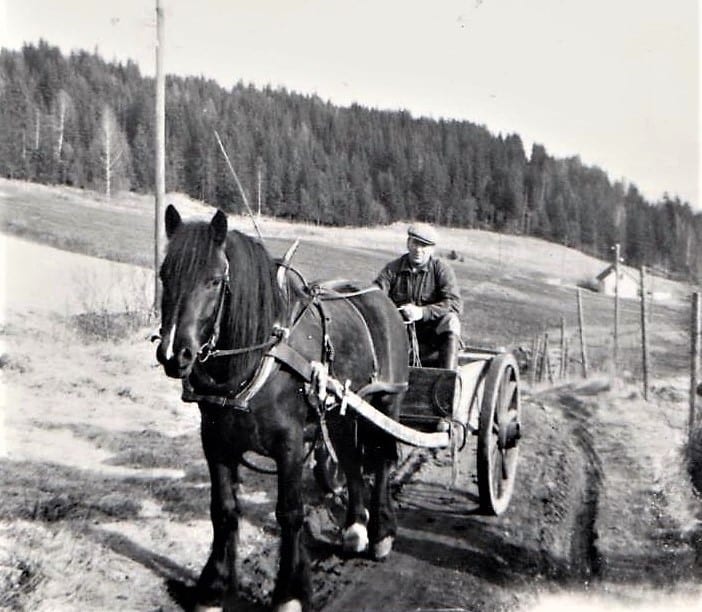 LOKALHISTORIE MELLOM TO PERMER: Else Hanna Tendø er snart aktuell med boka «Nedunder Kjølaberget». Her ser vi Knut Maribo sammen med Svarten.