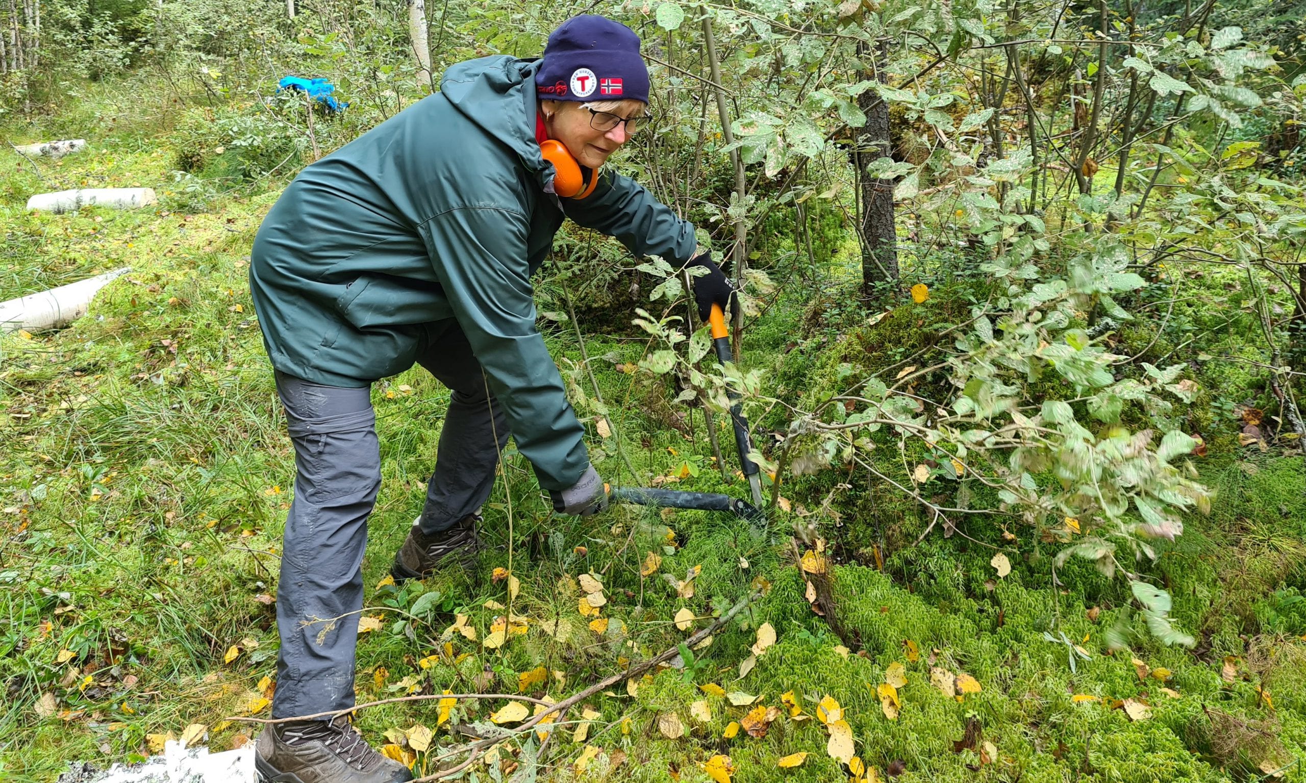VIKTIG JOBB: Det er behov for flere som kan bli stifaddere i Solør. Her ser vi Ingrid Gjeterud som vedlikeholder stien ved Trangenpasset.