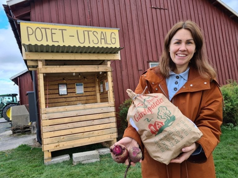 BRA TRAFIKK ALLEREDE: Hanne Bjugstad og Nikolai Omsted har satt opp to selvbetjeningsboder med poteter og rødbeter i Grue. Allerede har de måttet fylle på med nye varer.