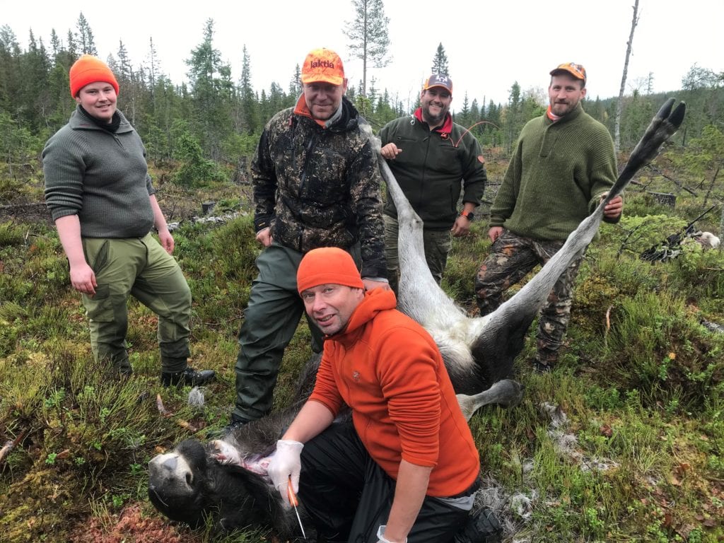 FIKK ELG: Under introjakten i Gravberget ble det felt elg. Fra venstre Ole Sigvart Berget, Patrik Jacobsson, Alexander Enrique Løken og Lasse Kornmo. Foran ser vi Kjetil Hansen.