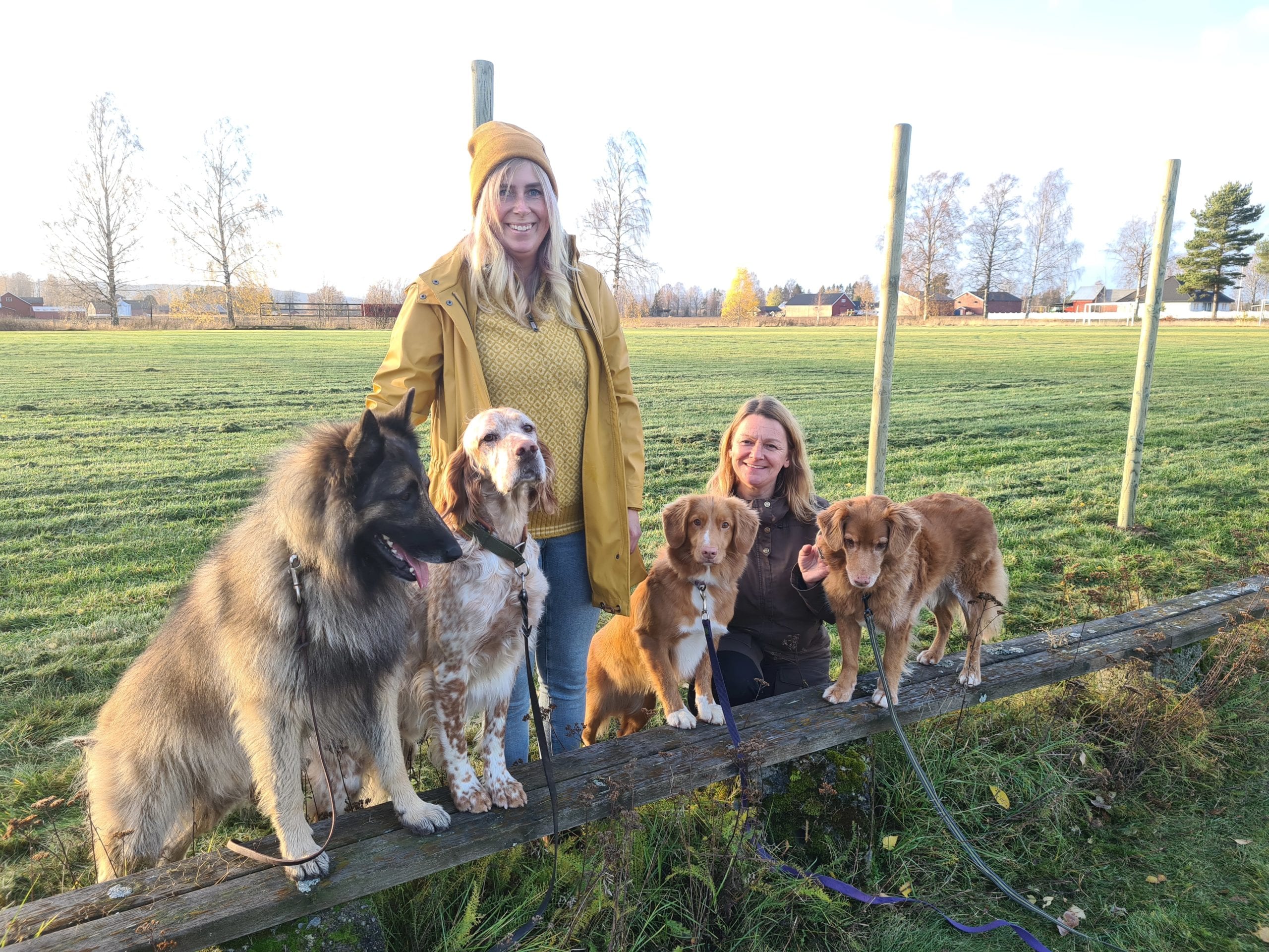 SNART KLART FOR TRENING: Idrettsplassen på Namnå leies nå ut til Åsnes og omegn hundeklubb. Frida Lilleberg (til venstre) og Nina W. Nilsen er to av klubbens medlemmer. Fra venstre ser vi hundene Ivrig, Bris, Easy og Kaisa.