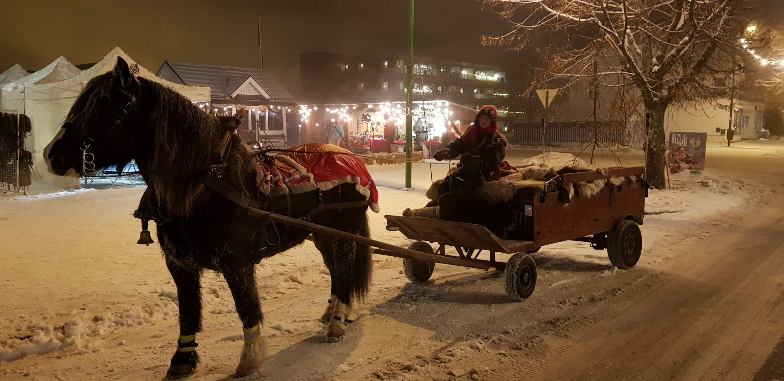 GAMMEL TRADISJON: Kjøring med hest og vogn er en tradisjon som små og store kan få oppleve under helgas handelsdager på Flisa. Beret Rostad tar med seg både hestene Mia og Frøken Fryd til kjøring.