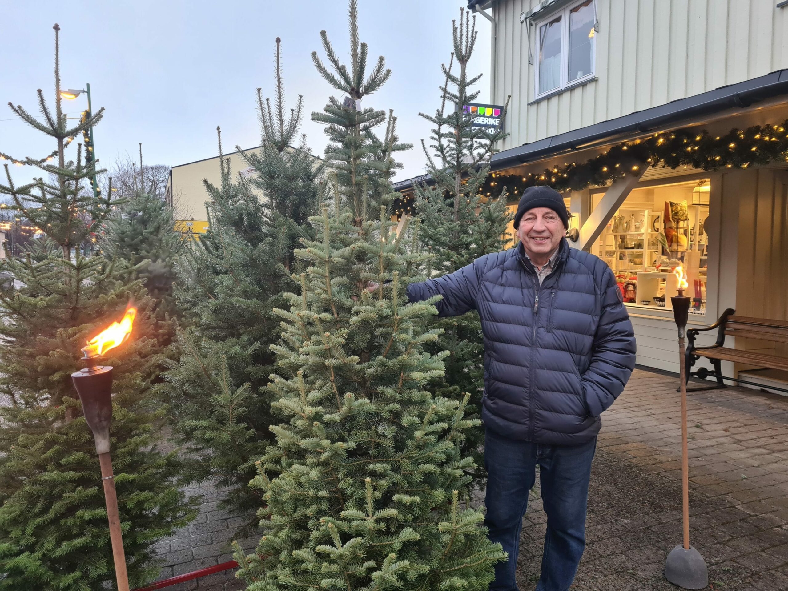 FOLK VIL HA DET EKTE: John Husebæk ved Fargerike Flisa forteller at folk som tidligere har kjøpt plasttre ombestemmer seg, og heller kjøper et ekte juletre. Forretningen fører juletrær fra Opaker gård i Grue.