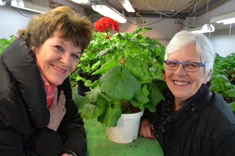 GIR SEG IKKE: Selv om den offentlige støtten forsvant har ikke Blomsterpikene i Våler noen planer om å gi seg. Unni Langmoen (til venstre) og Unni Tollefsen gleder seg til å komme i gang ute, og vil gjerne ha flere blomsterpiker med på laget.