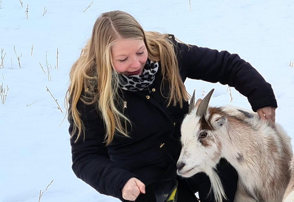 BRYLLUPSGAVE: De to første geitene fikk Malin og Simon for to år siden i bryllupsgave. Nå bygges det for totalt 100 geiter i Åslia.