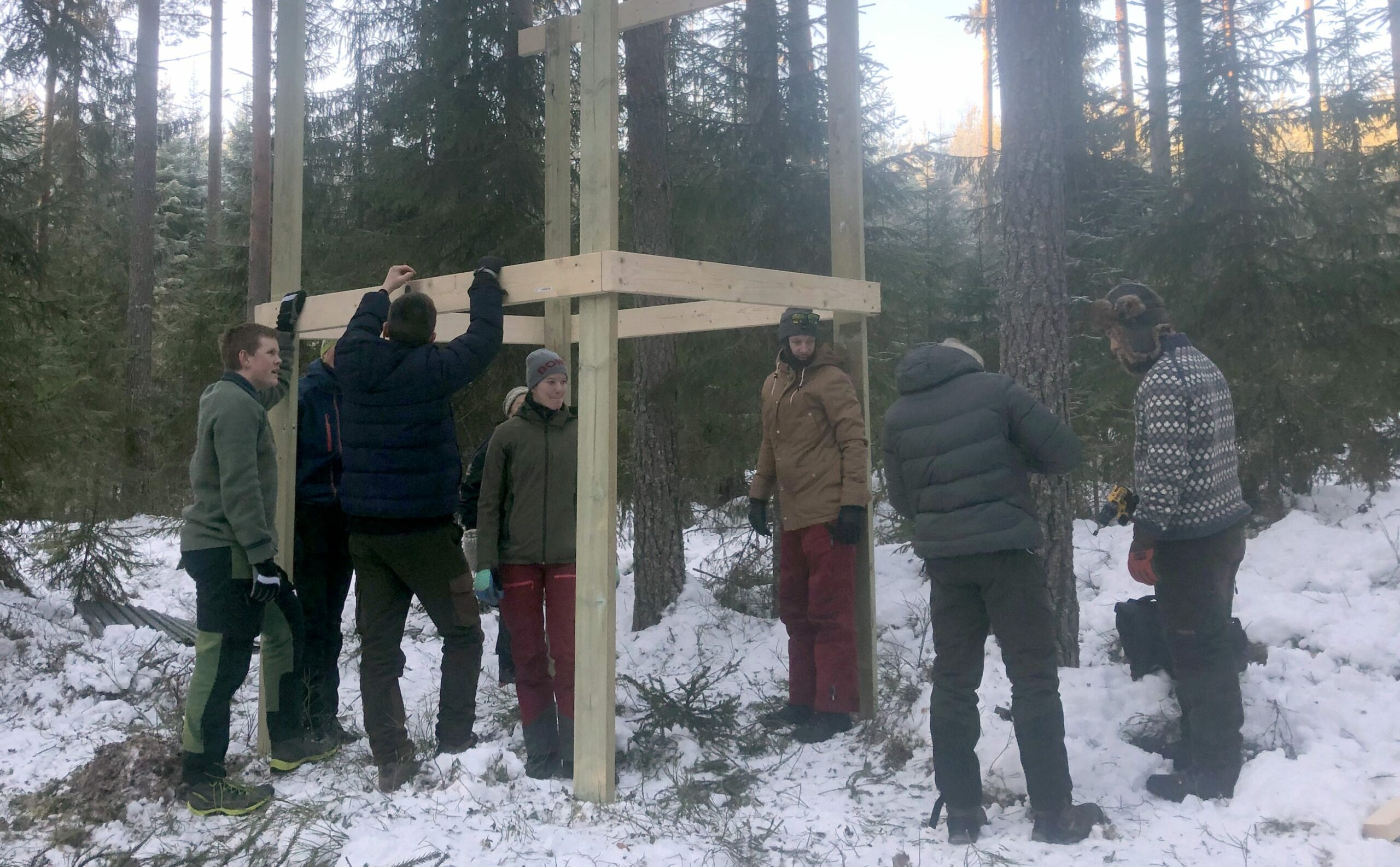 NY ART: Villsvin er en ny dyreart i Solør-skogene. Elevene ved Solør videregående skole på Sønsterud er for tiden med på et villsvinprosjekt.
