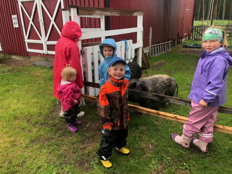 HILSTE PÅ GRISENE: Her klapper barna to store griser. Fra venstre Milly Aspen (10), Mille Jensrud (1), Filip Aspen (5), Felix Aspen (3) og Eimy Aspen (8).