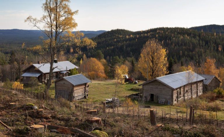 FREDES: Hytjanstorpet på Grue Finnskog har nå blitt fredet av Riksantikvaren. Foto: Trond A. Isaksen, Riksantikvaren.