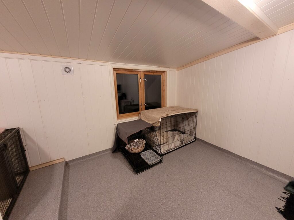 PRAKTISK: Kattemottaket er bygget slik at det skal være enkelt å vaske og vedlikeholde. Noen provisoriske bur er satt inn i påvente av en mer omfattende burløsning.