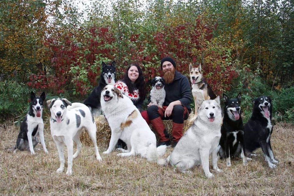 FLOTTE OPPLEVELSER: Vanja og Preben har valgt å leve et liv med mange hunder. Det gir mye glede i hverdagen.