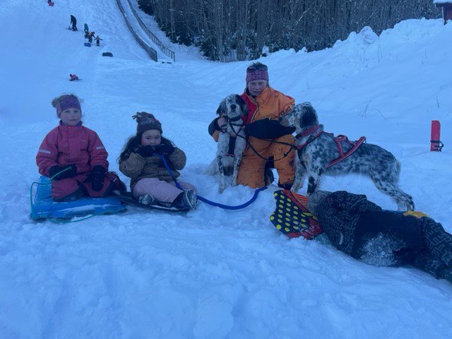 AKE ETTER HUNDENE: Elida Celine Syvderud (6), Molly Bismo Lerudsmoen (5), Linn Therese Trøan og Tom Andre Trøan (6) koser seg i bakken og synes det er ekstra stas å bli dratt av hundene. Foto: Adele Dragsnes.