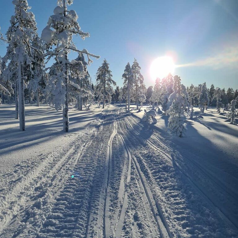 FINE NATUROPPLEVELSER: Rundt fire mil med snøscooterled er etablert i Gravberget, og nå er sesongen i gang. Her er det mulig å få mange fine naturopplevelser.