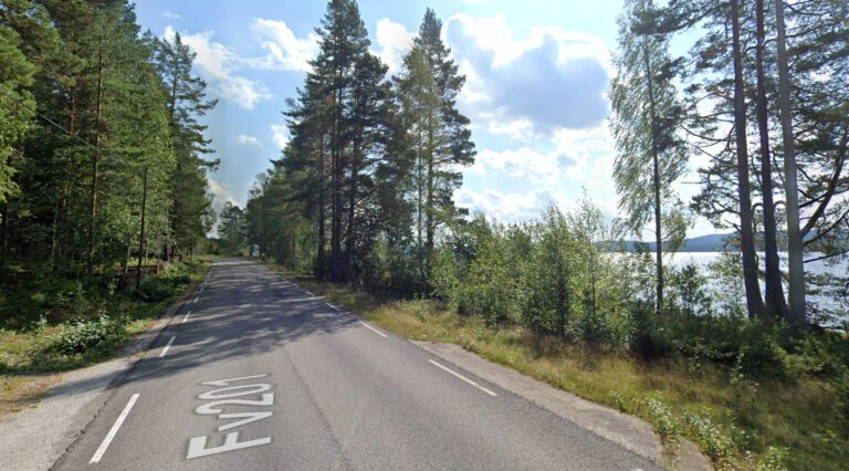 FÅR NY ASFALT: Fylkesveg 201 på Grue Finnskog er blant fylkesvegene som får ny asfalt i 2022. Her på strekningen mellom Skasenden og Meldalen, med utsikt mot Skasen. Foto: Google maps.