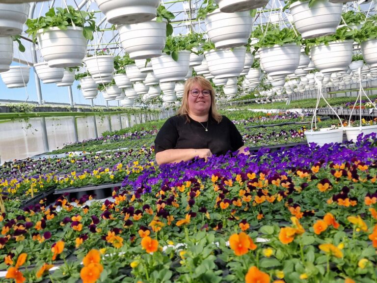 KAV MÆTT: Rundt 30.000 blomster skal nå vokse seg store hos Grindaker Gartneri. Siw Monica Holth trives godt med kav mætt gartneri på våren.