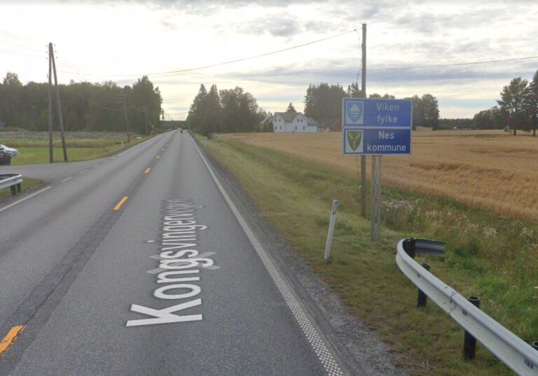 SIER NEI: Åsnes kommune sier nei til å utrede fylkesbytte. Her fra fylkesgrensa ved Sanngrund. Foto: Google Maps.