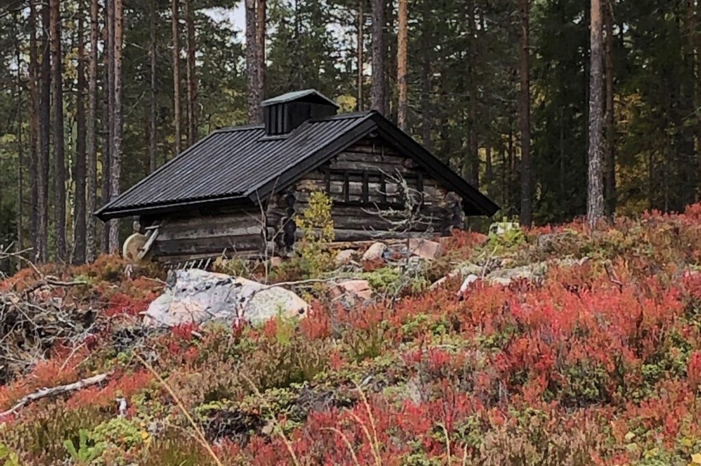 FINT TURMÅL: Brutjernskoia på Grue Finnskog er et fint turmål for mange. Nå er selve koia, som ble bygd i 1990, restaurert.