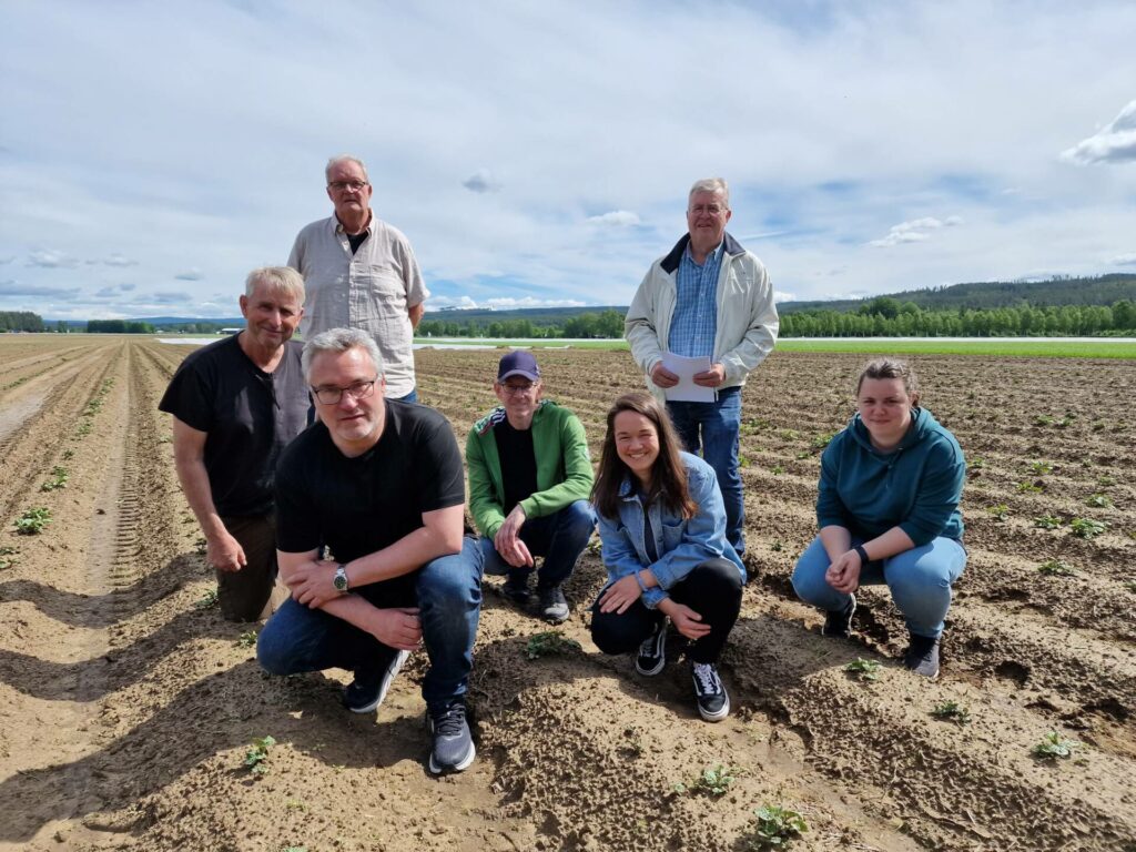 KLARE IGJEN: Potato Scandinavia er tilbake på Grinder gård torsdag 18. august. Fra venstre ser vi Erik Furulund, Roy Utgaard, Baard Nordvang, Are Sætre, Camilla Bye, Asbjørn Holmen og Katrine Breifjell.