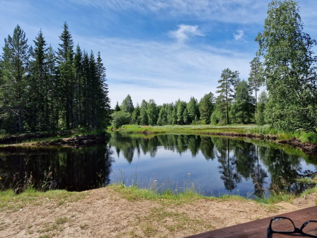 NYTER STILLHETEN: Ved de mange rasteplassene langs Kynna-vassdraget kan joggere, syklere og padlere stoppe og nyte stillheten. Her fra en rasteplass nord for Sævsjøen.
