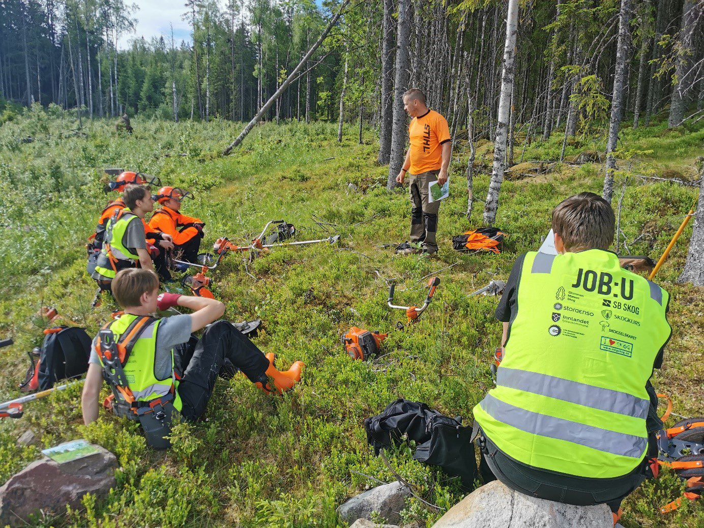 VILLE LÆRE: Ungdommene som fikk sommerjobb i skogen gjennom JOB:U tok villig i mot lærdom fra Stein Ivan Elvelund.