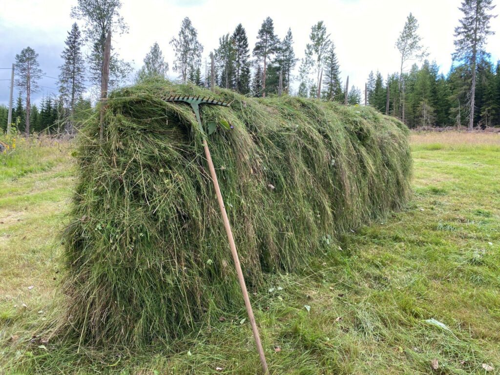 FORSVINNER: De gamle teknikkene og tradisjonene forsvinner i takt med at verden utvikler seg. Ada Bredalen er glad for at mange ville lære mer om slått og slåttemarker.