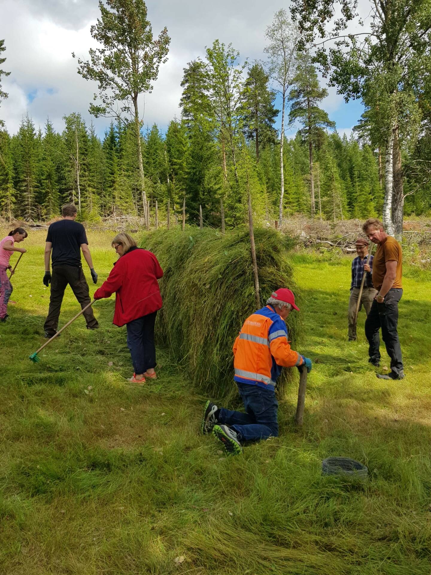 TRUET: Slåttemarker har i løpet av 1900-tallet blitt blant de mest truede naturtyper.