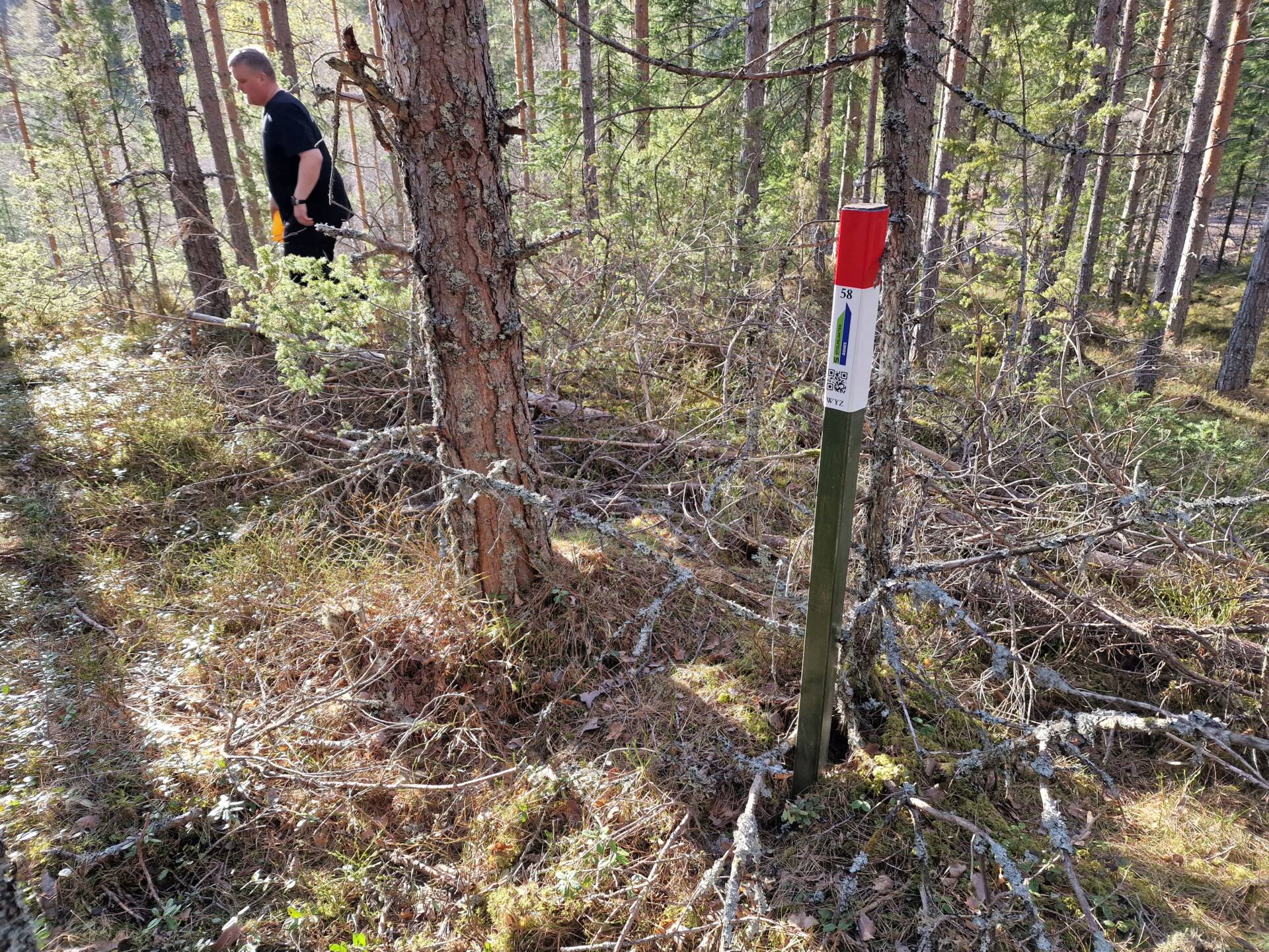 LOKKER MANGE UT: Takket være stolpejakten er det mange som får nye friluftsopplevelser både nært og fjernt. Her fra en stolpe plassert ved Antonsdammen på Flisa i vår.