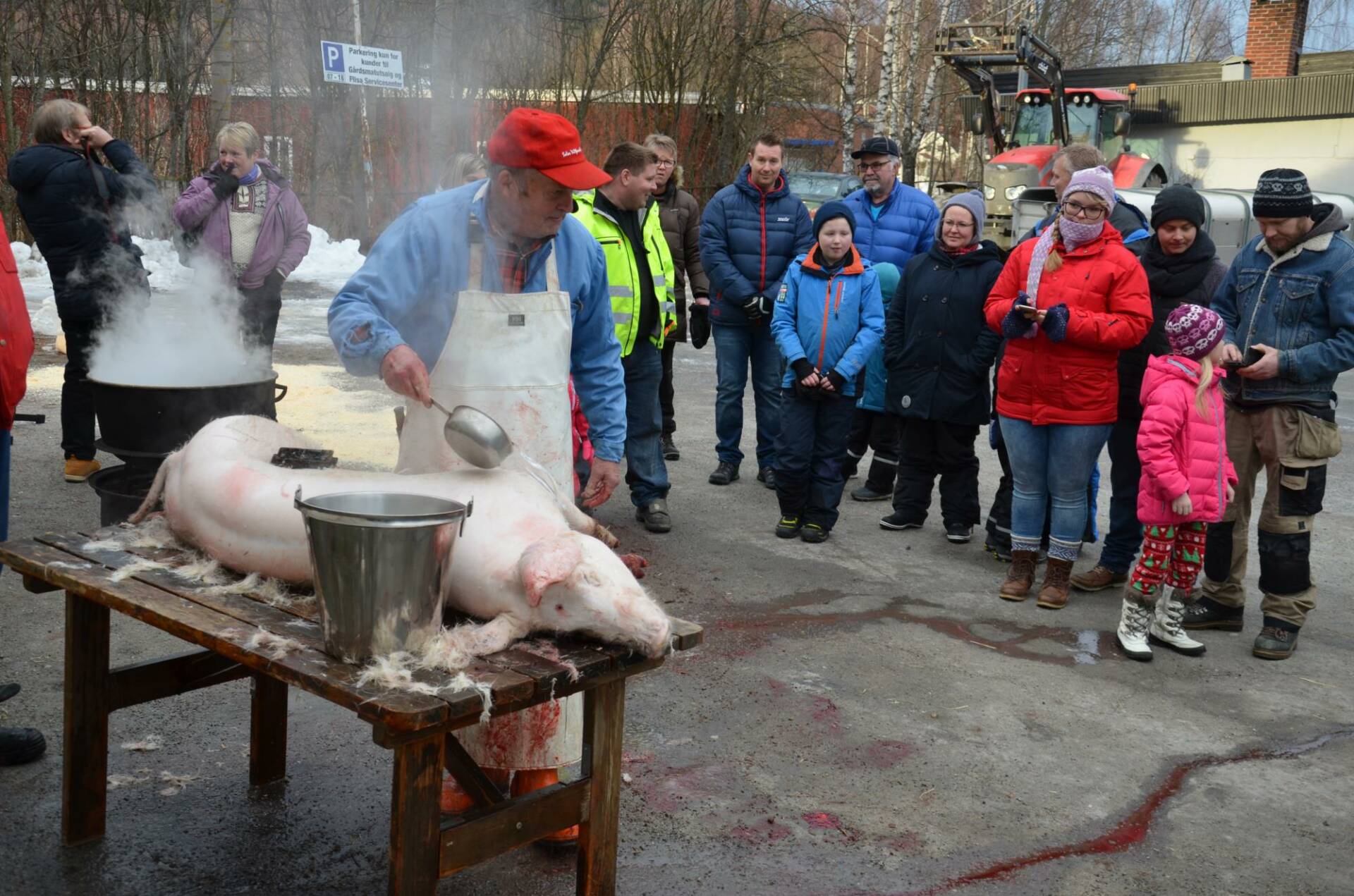 I SENTRUM: Slaktingen av gris under julefestivalen skjer ved O. Gjerdrum i Kaffegata, og bygdeslakter Per Risbergseter håper mange vil komme for å se hvordan juleribba blir til. Arkivfoto: Morten I. Schei.