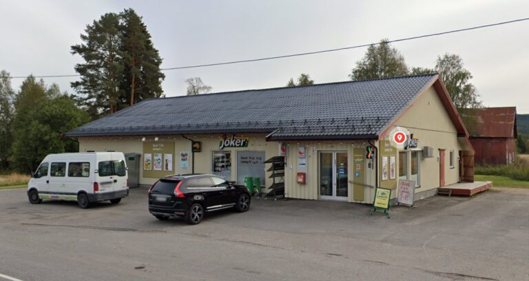 HAR TRUA: Eivind Mehl går i bresjen for etablering av ny dagligvarebutikk på Åsnes Finnskog. Foto: Google Maps.